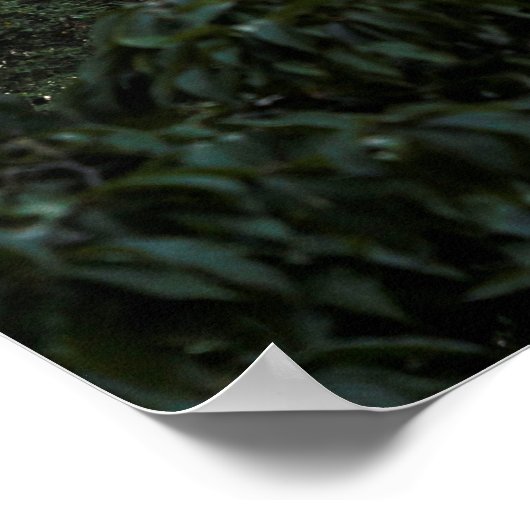 Uitzicht Manhattan Buildings Poster (Hoek)