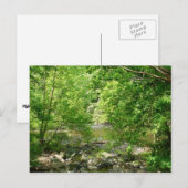 Uitzicht Maryland Natuur Fotografie Briefkaart (Voorkant / Achterkant)