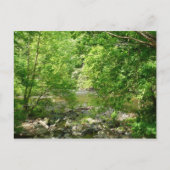 Uitzicht Maryland Natuur Fotografie Briefkaart (Voorkant)