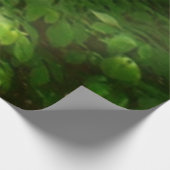 Uitzicht Maryland Natuur Fotografie Houten Poster (Hoek)