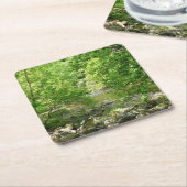 Uitzicht Maryland Natuur Fotografie Kartonnen Onderzetters (Schuin)