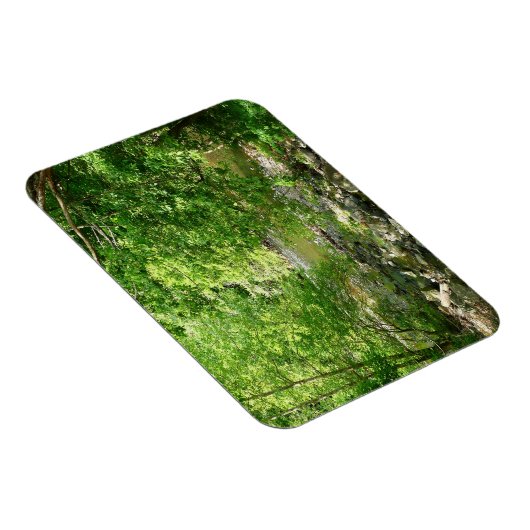 Uitzicht Maryland Natuur Fotografie Magneet (Rechterzijde)