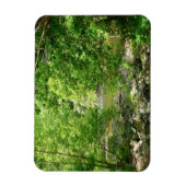 Uitzicht Maryland Natuur Fotografie Magneet (Verticaal)