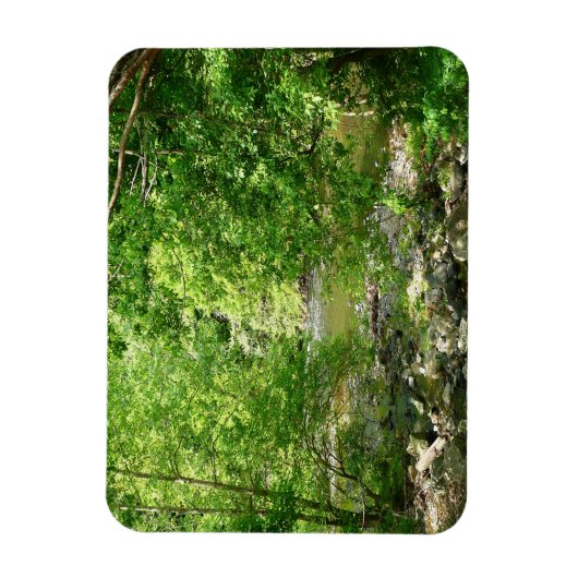 Uitzicht Maryland Natuur Fotografie Magneet (Verticaal)