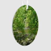 Uitzicht Maryland Natuur Fotografie Ornament (voorkant)