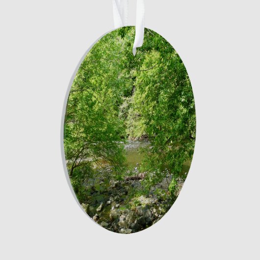 Uitzicht Maryland Natuur Fotografie Ornament (voorkant)