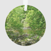 Uitzicht Maryland Natuur Fotografie Ornament (achterkant)