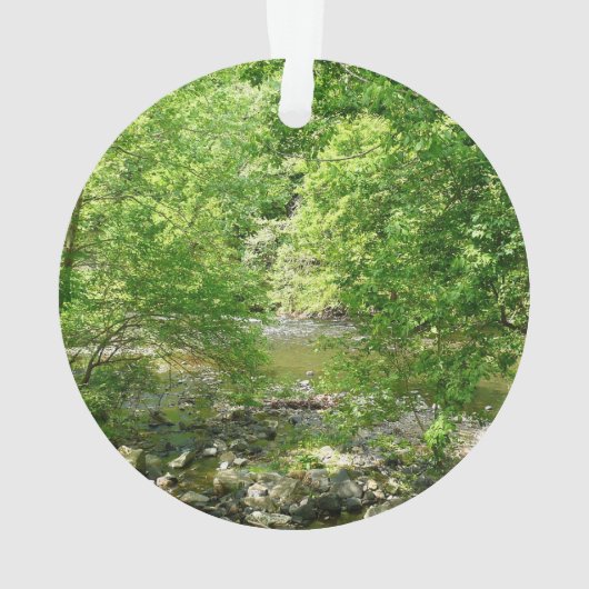 Uitzicht Maryland Natuur Fotografie Ornament (achterkant)