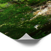 Uitzicht Maryland Natuur Fotografie Poster (Hoek)