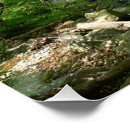 Uitzicht Maryland Natuur Fotografie Poster (Hoek)