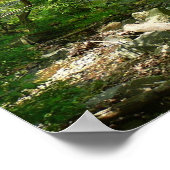 Uitzicht Maryland Natuur Fotografie Poster (Hoek)