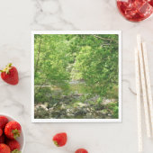 Uitzicht Maryland Natuur Fotografie Servet (Insitu)