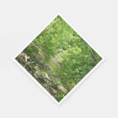 Uitzicht Maryland Natuur Fotografie Servet (Hoek)