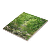 Uitzicht Maryland Natuur Fotografie Tegeltje (Zijkant)