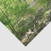 Uitzicht Maryland Natuur Fotografie Tissuepapier (Detail)