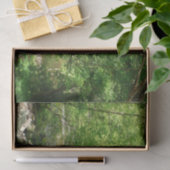 Uitzicht Maryland Natuur Fotografie Tissuepapier (Geschenk)