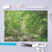 Uitzicht Maryland Natuur Fotografie Tissuepapier (Craft)