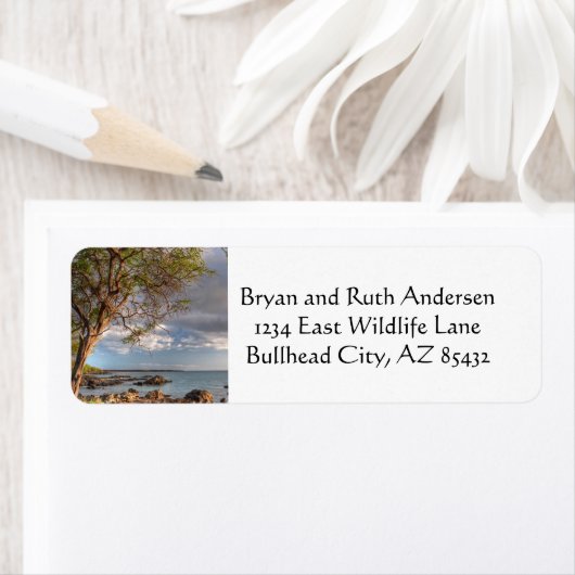 Uitzicht Maui Ocean Etiket (Insitu)