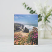 Uitzicht met bloemen bovenaan het strand briefkaart (Staand voorkant)