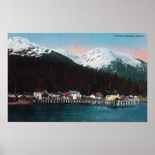 Uitzicht met DocksTenakee Springs, AK Poster (Voorkant)