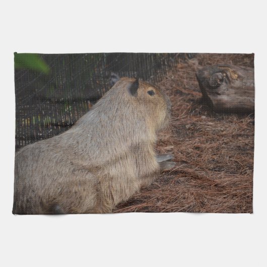 uitzicht met het regale capybara back theedoek (Horizontaal)