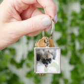 Uitzicht met hoge hoek van een Eskimo-hond Sleutelhanger (Hand)