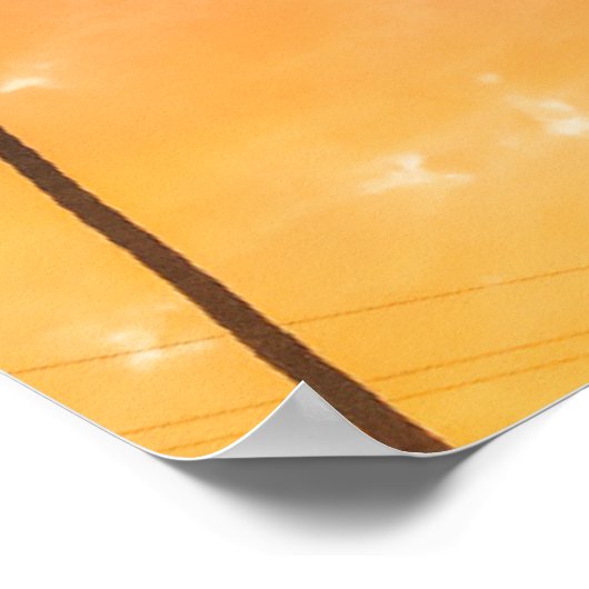 Uitzicht naar boven van Palms Poster (Hoek)