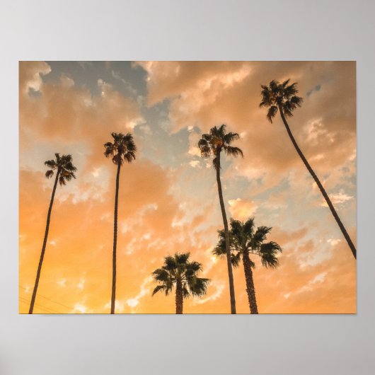 Uitzicht naar boven van Palms Poster (Voorkant)