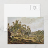 Uitzicht nabij Point du Galle, Ceylon Briefkaart (Voorkant / Achterkant)