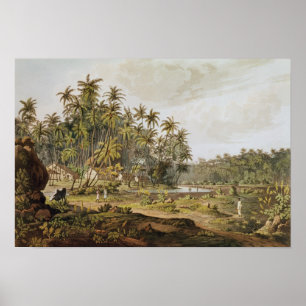 Uitzicht nabij Point du Galle, Ceylon Poster