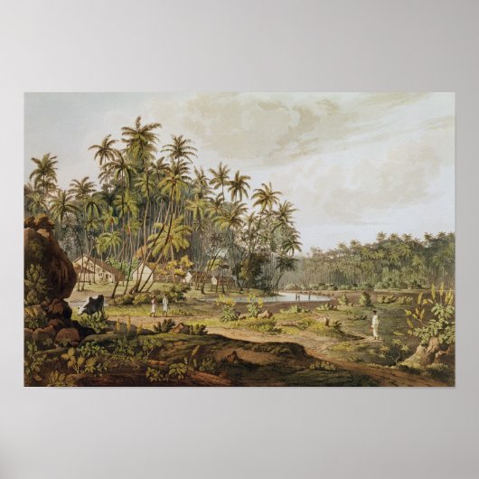 Uitzicht nabij Point du Galle, Ceylon Poster (Voorkant)