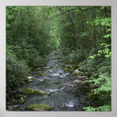 Uitzicht Oconuluftee Poster (Voorkant)