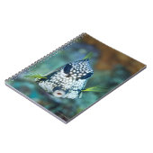 Uitzicht onderwater van de gladde boomkvissen (lac notitieboek (Linkerzijde)