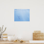 Uitzicht onderwater van walvis poster (Keuken)