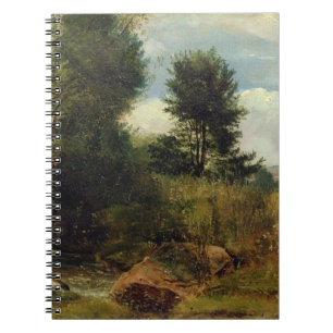 Uitzicht op de Sid, nabij Sidmouth, c.1852 (aardol Notitieboek