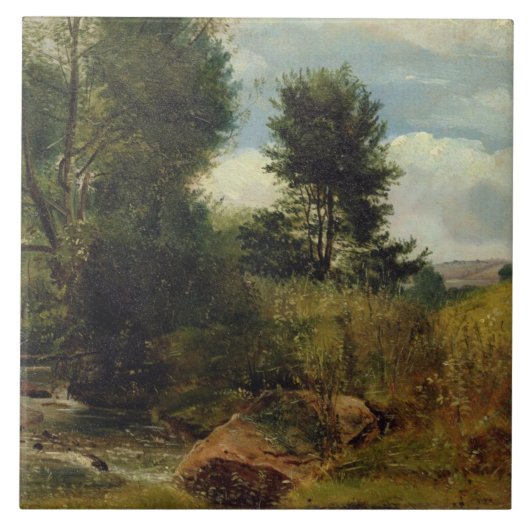 Uitzicht op de Sid, nabij Sidmouth, c.1852 (aardol Tegeltje (Voorkant)