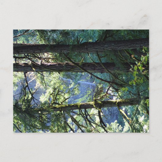 Uitzicht op Elowah Falls, Oregon Briefkaart (Voorkant)