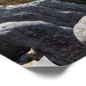 Uitzicht op Forest Valley bij Castle Mound Poster (Hoek)