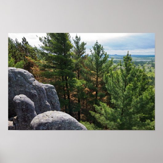 Uitzicht op Forest Valley bij Castle Mound Poster (Voorkant)