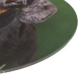 Uitzicht op gevlekte teckel snijplank (Hoek)