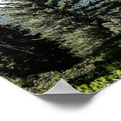 Uitzicht op Kings Canyon in het Sierra Nevada-bos Poster (Hoek)
