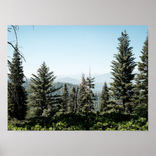 Uitzicht op Kings Canyon in het Sierra Nevada-bos Poster