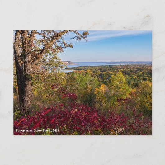 Uitzicht op Lake Pepin vanaf Frontenac State Park Briefkaart (Voorkant)