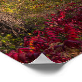 Uitzicht op Lake Pepin vanaf Frontenac State Park Poster (Hoek)