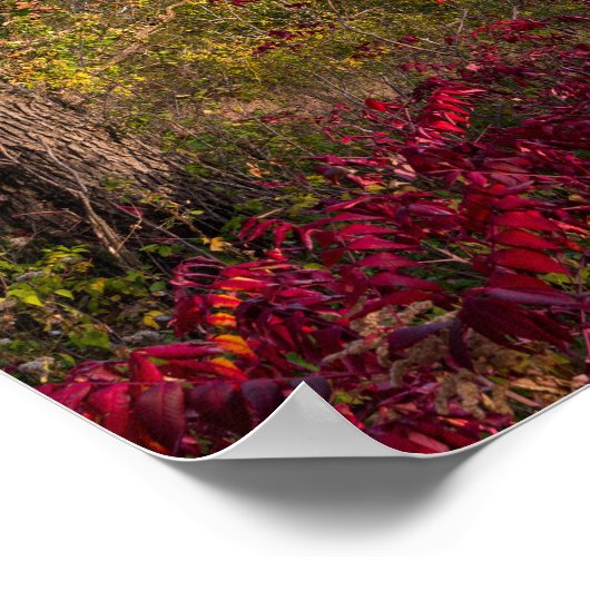 Uitzicht op Lake Pepin vanaf Frontenac State Park Poster (Hoek)