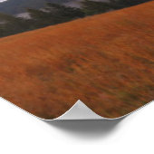 Uitzicht op Tatras uit Pieniny Poster (Hoek)