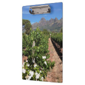Uitzicht op wijngaarden. Stellenbosch Klembord (Links)