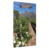 Uitzicht op wijngaarden. Stellenbosch Klembord (Rechts)