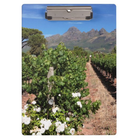 Uitzicht op wijngaarden. Stellenbosch Klembord (Voorkant)