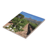 Uitzicht op wijngaarden. Stellenbosch Tegeltje (Zijkant)